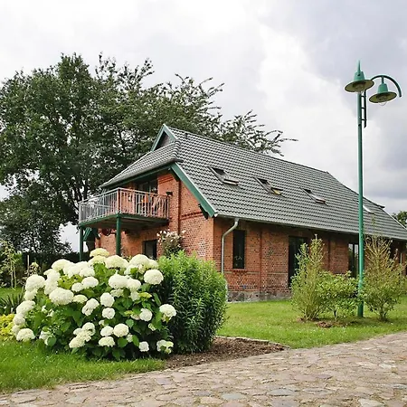 Seeadler Am In Holiday home Dummer